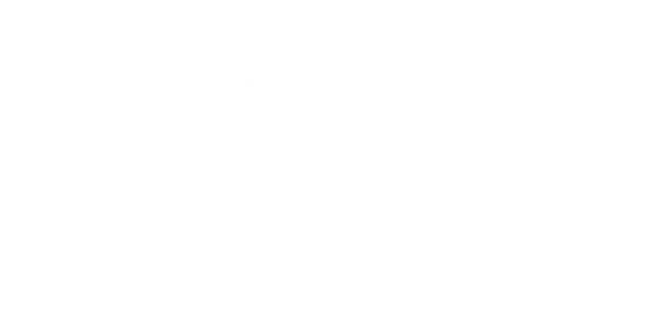 Auto Tag and Insurance